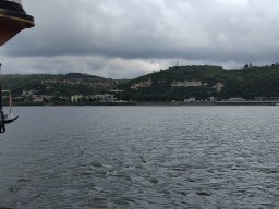 Le_long_du_Danube