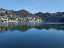 Ploce