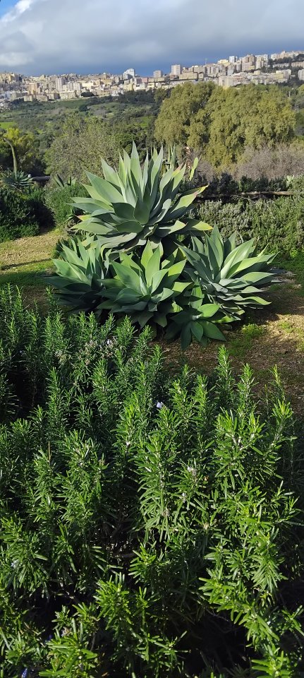 Agrigento