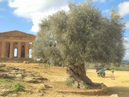 Agrigento