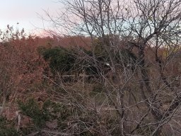 De Catania à Taormina